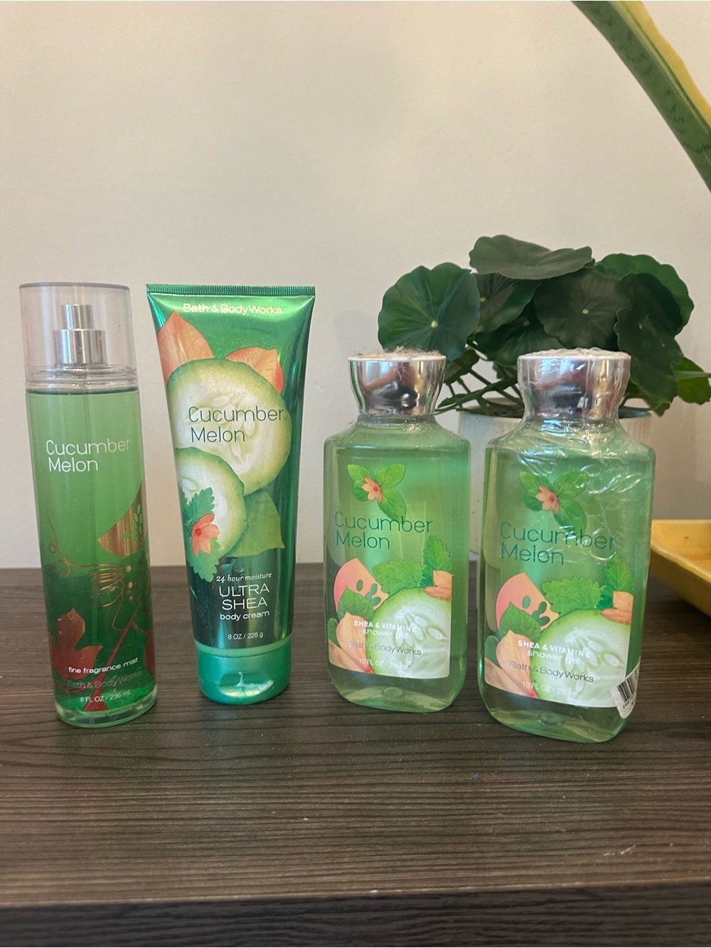 Bath & Body Works Cucumber Melon